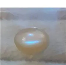 چشم