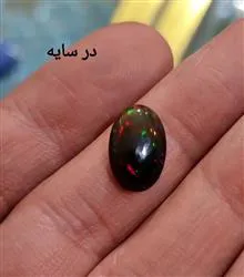 بلک