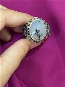 انگشترشجرقائنات