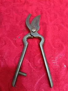 قیچی