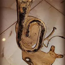 بوق
