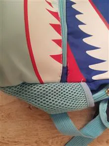 کیف