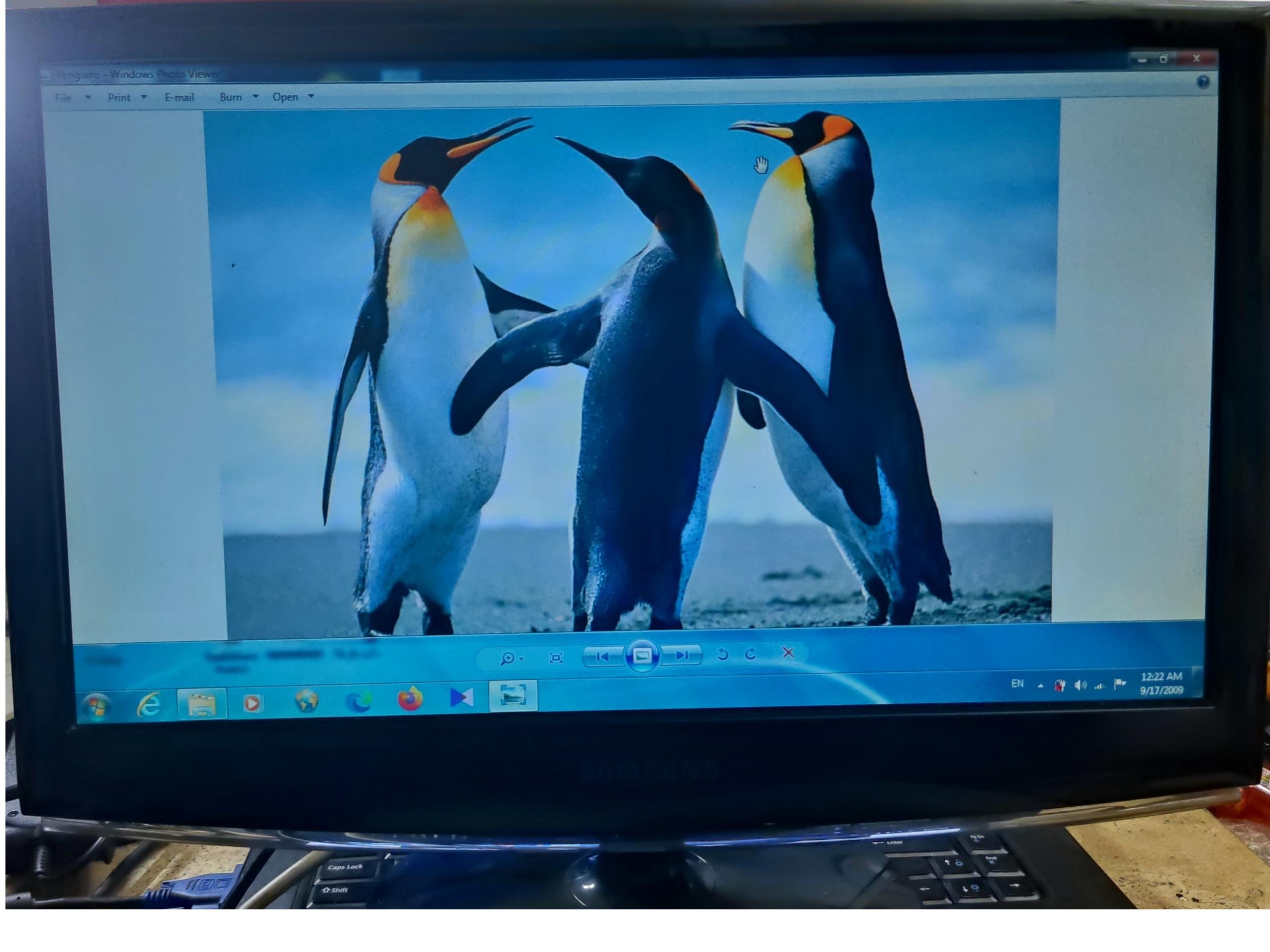 MONITOR MODEL SAMSUNG LS19