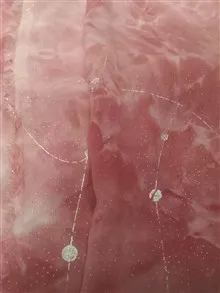 تعداد