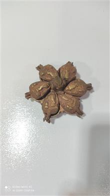 دوات
