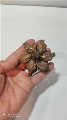 دوات