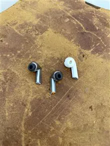 گوش
