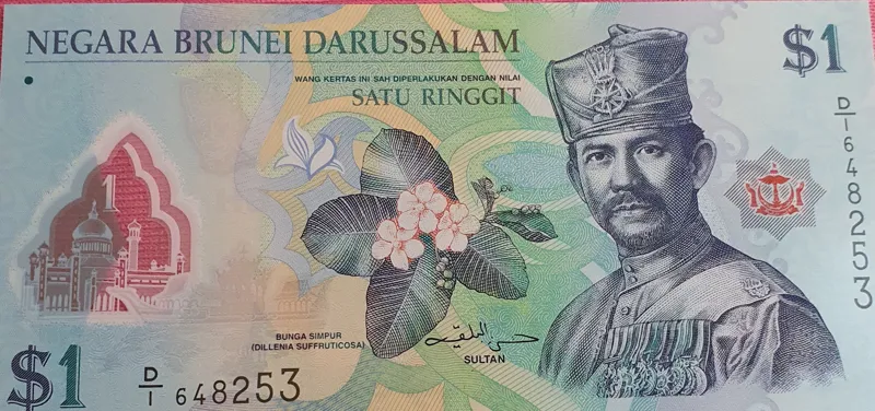 اسکناس کلکسیونی پلیمری یک دلار برونئی