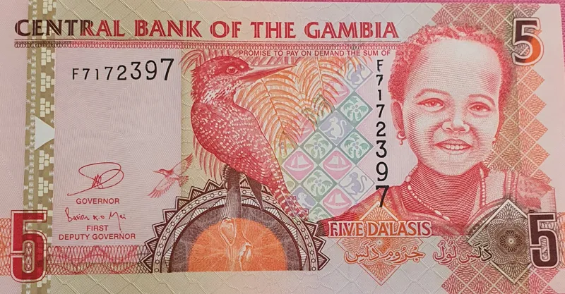 اسکناس 5 دالاسی 2009 جمهوری گامبیا
