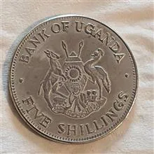سکه