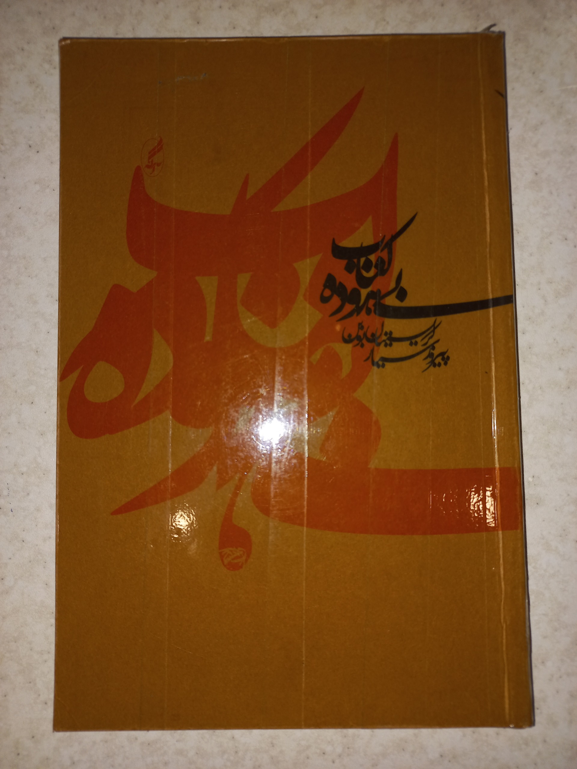 کتاب بیهوده. کریستین بوبن. آگه