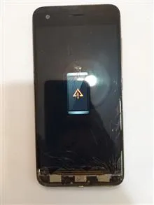 برد