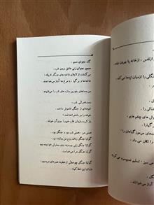 منظومه