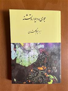جوی