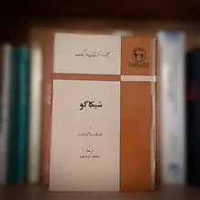 شیکاگو