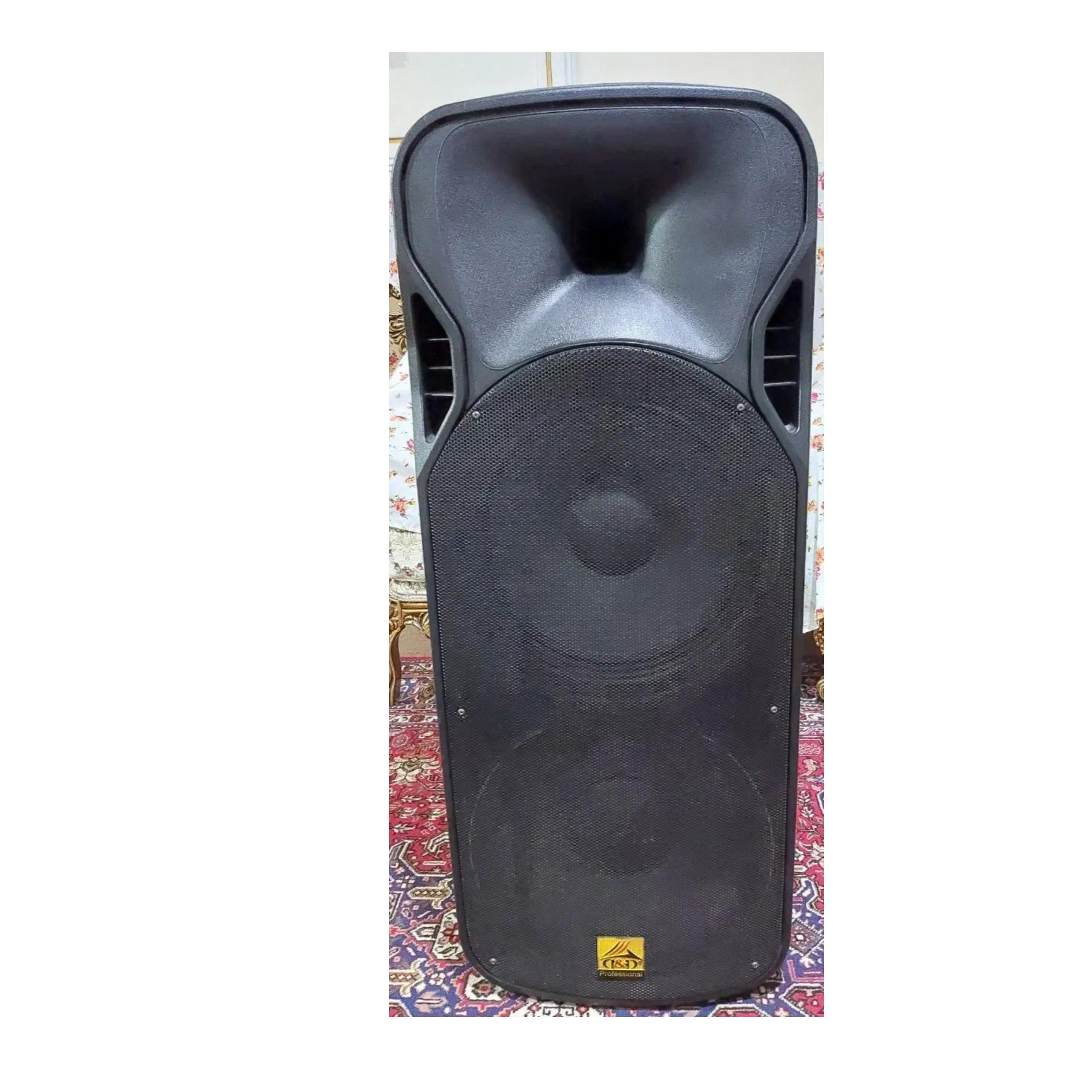 دابل باند اکتیو 15 اینچ DD