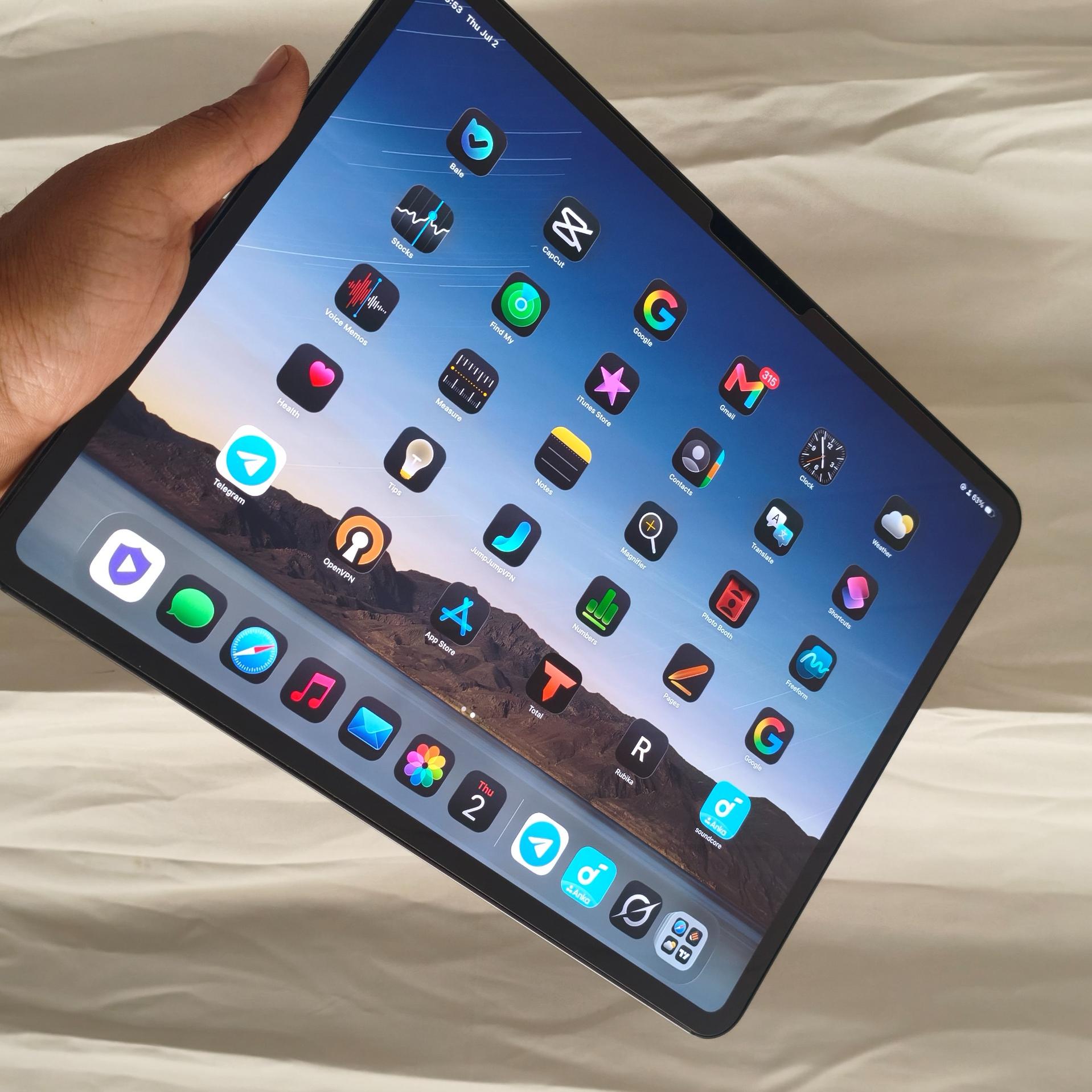 Ipad pro 2024 256 cellular