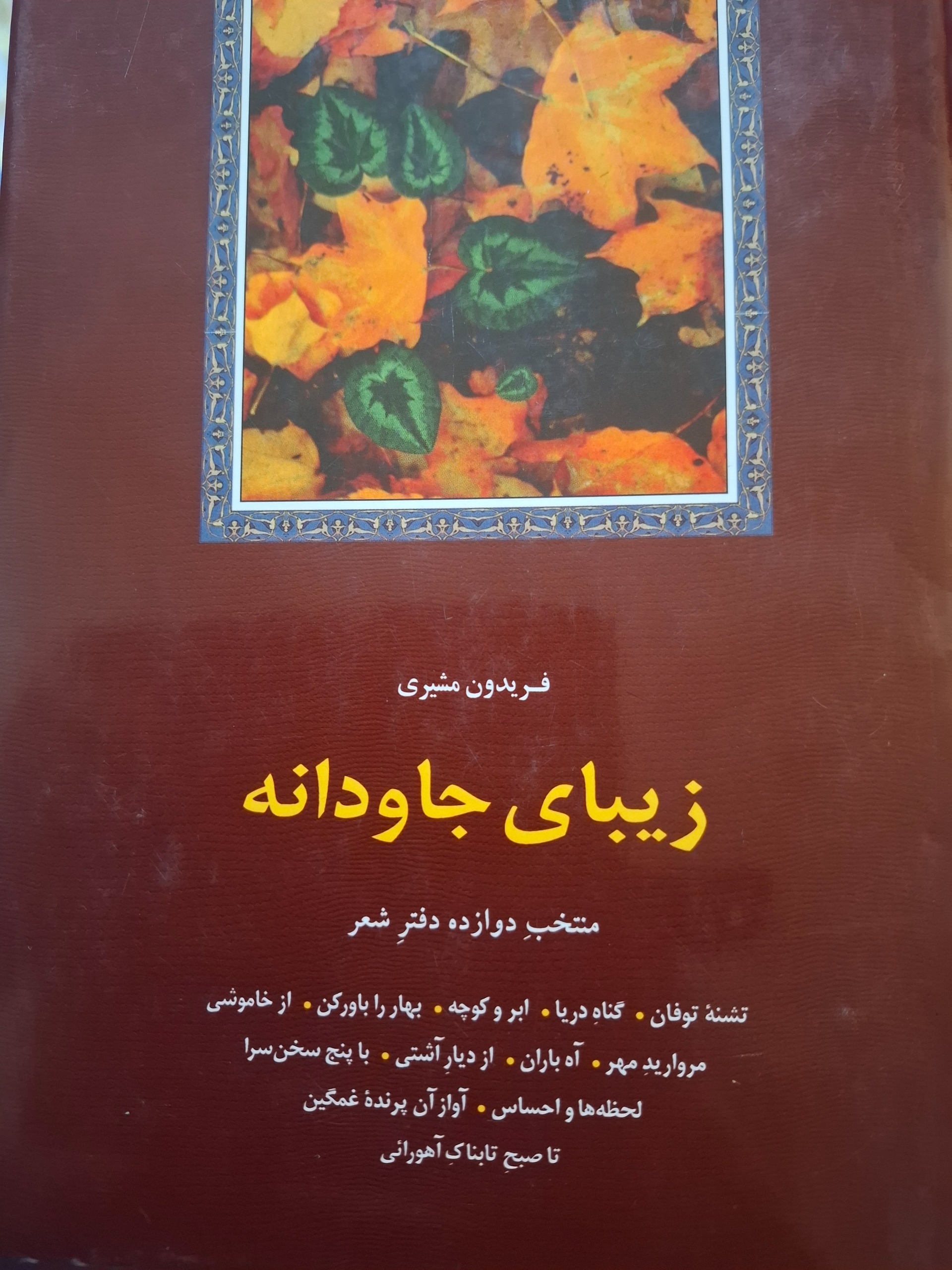 کتاب زیبای جاودانه فریدون مشیری