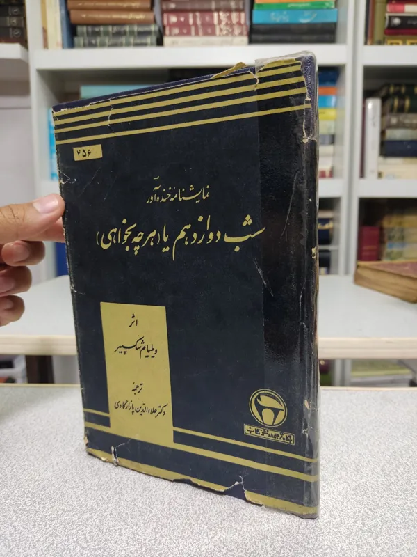 شب دوازدهم یا هرچه بخواهی