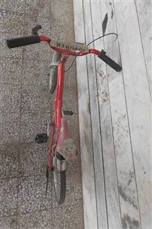 دوچرخه
