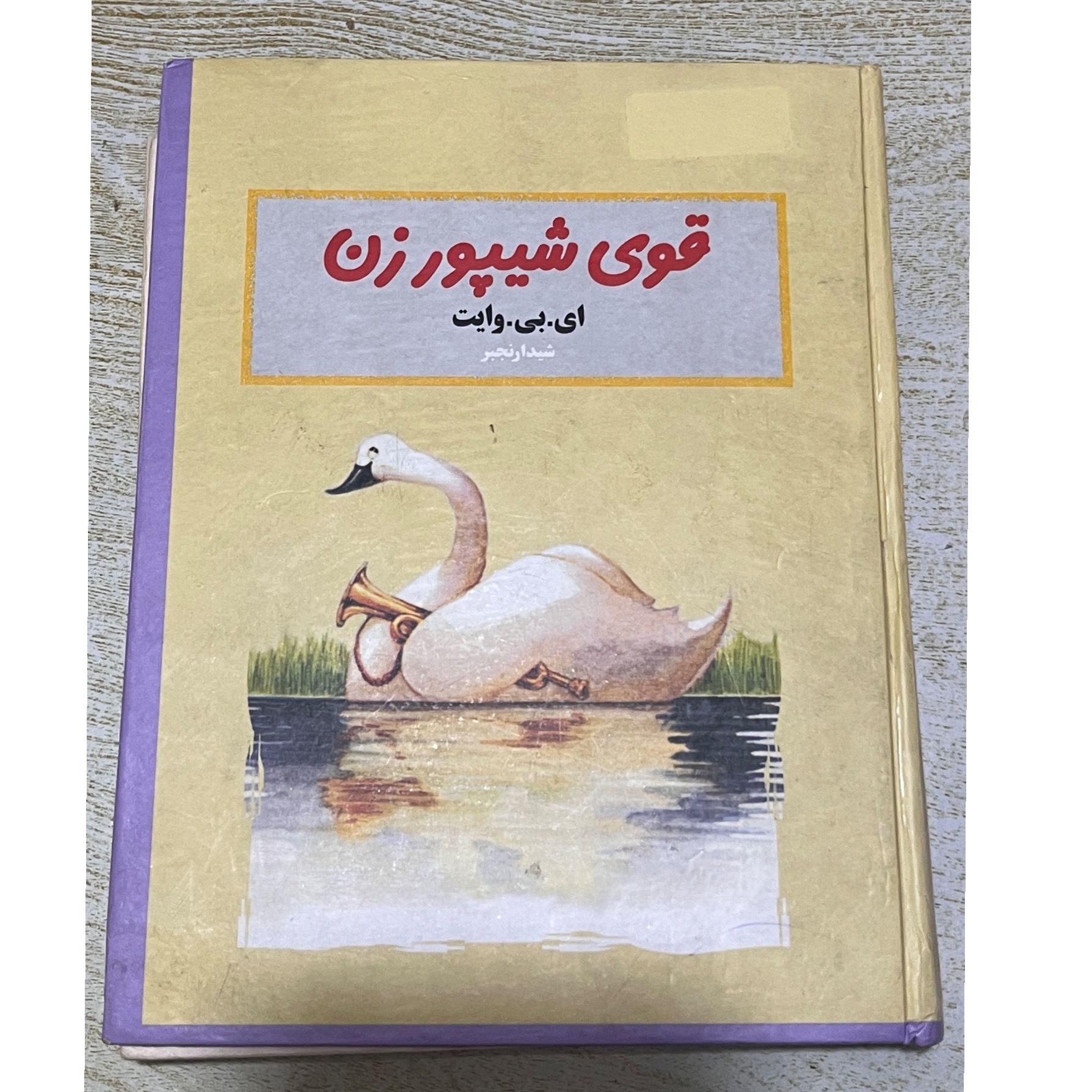 کتاب داستان قوی شیپور زن
