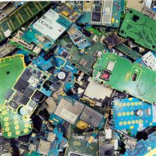 برد