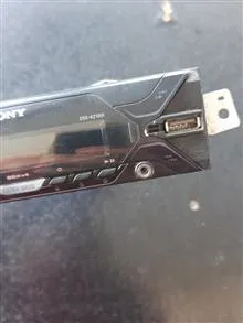 ضبط