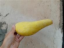 صندلی