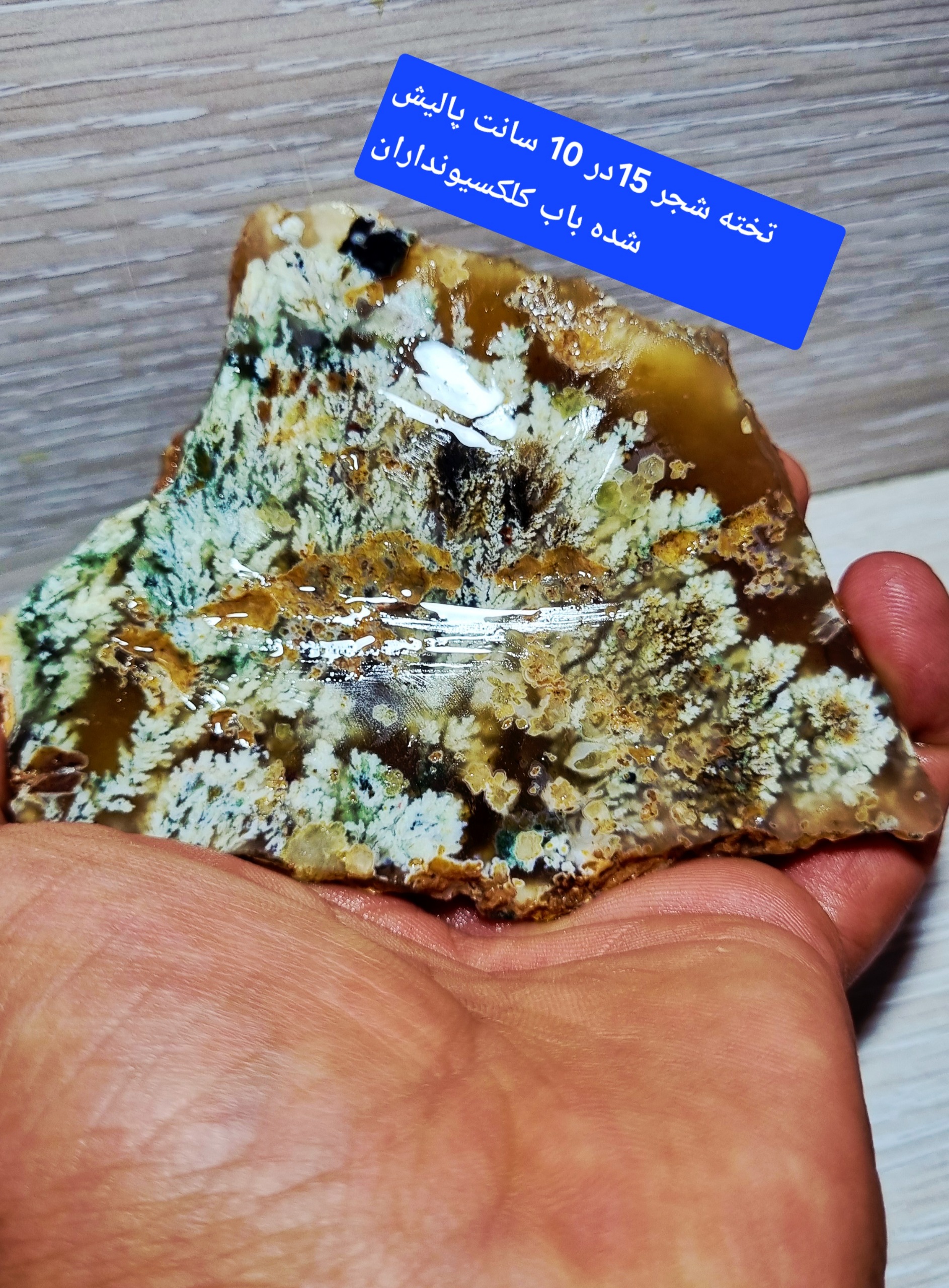 تخته شجر شکوفه کلکسیونی معدنی