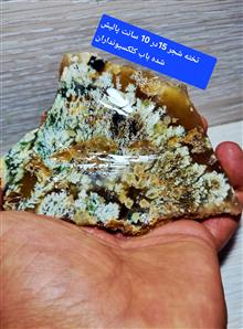 تخته