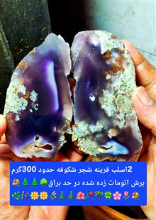 بهترین
