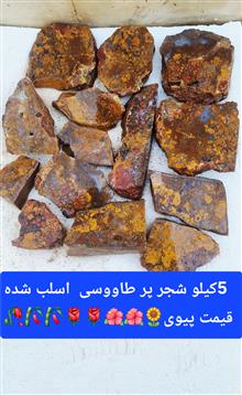 5کیلو