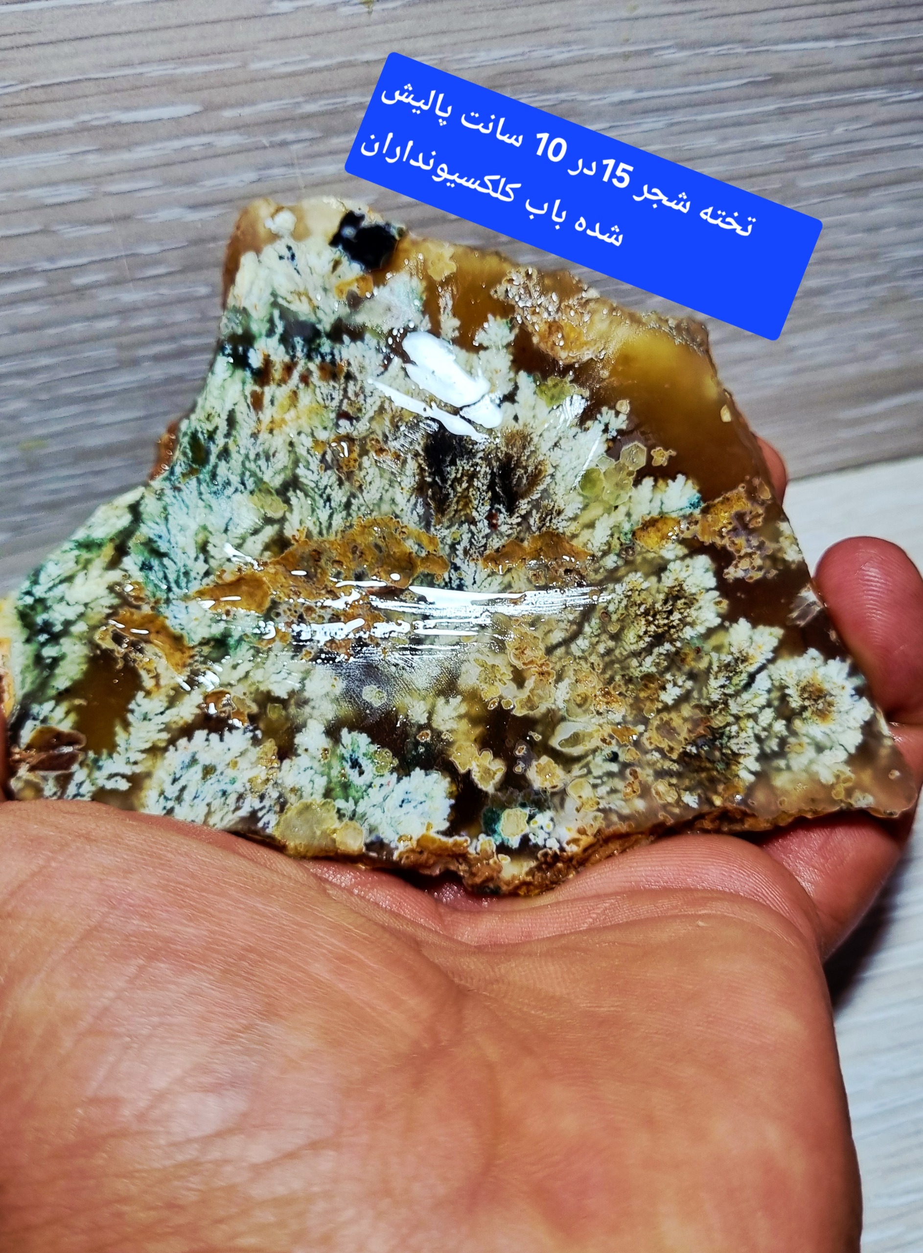 تخته شجر خاص باب کلکسیونی تکرار نشدنی