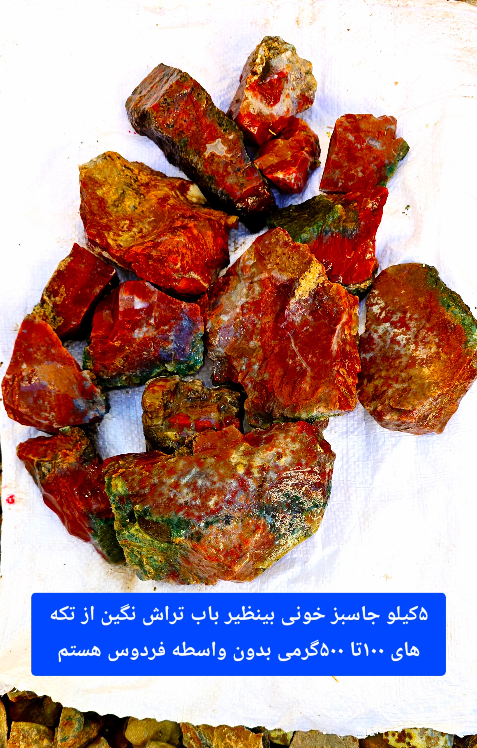 5کیلو شجر جاسبر از تپه های شجر اناری فردوس