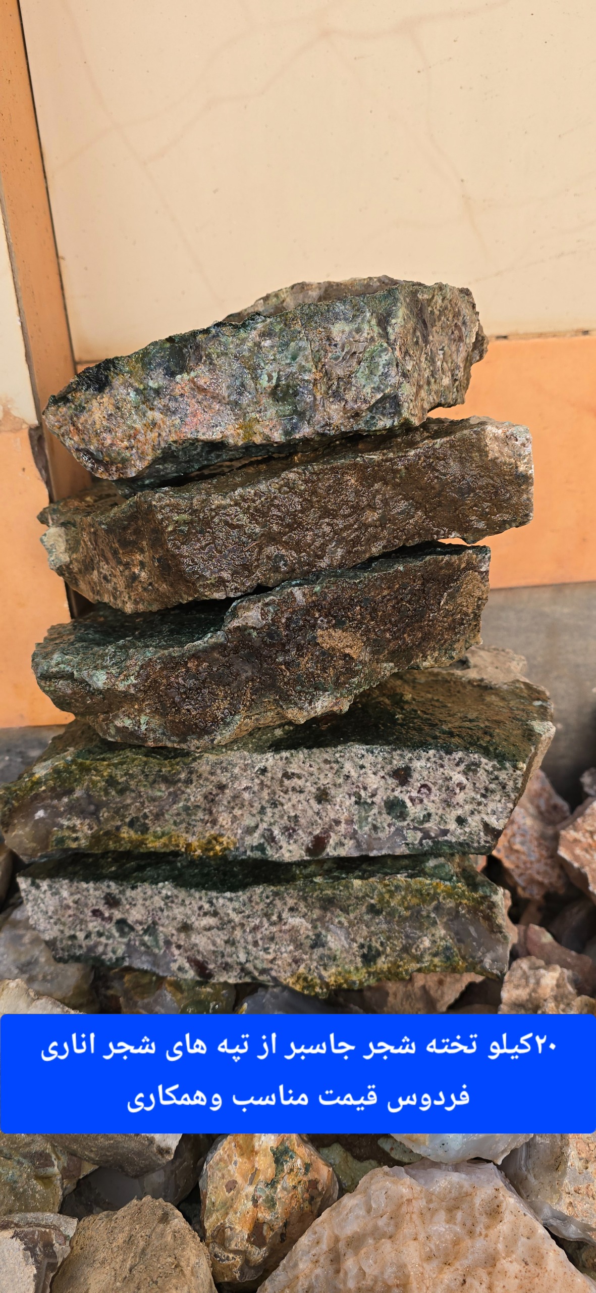 20کیلو تخته شجر جاسبر مناسب باب حجم تراشی