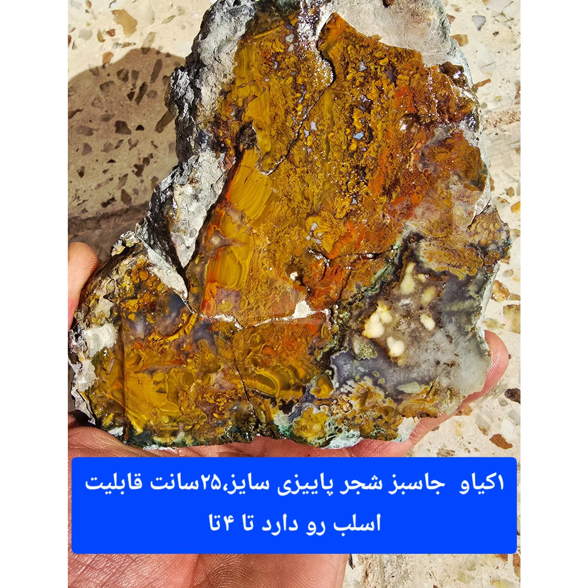 سنگ راف شجر نارنجی 1کیلویی باب گوهرتراشان