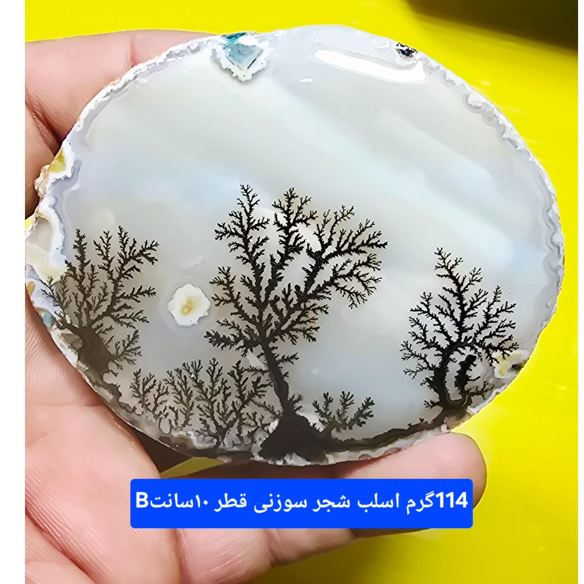 اسلب اختصاصی واسه کلکسیون شخصی
