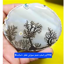 اسلب