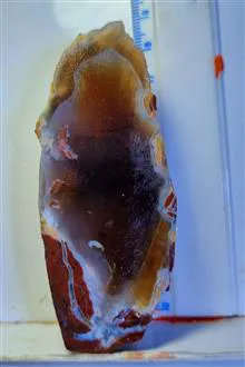 اسلب
