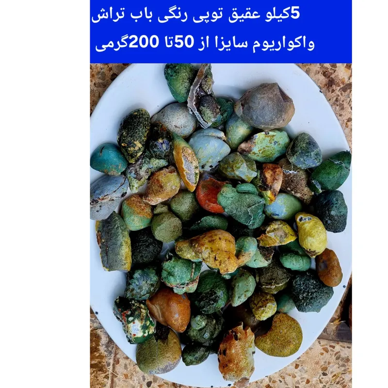 5کیلو توپی شانسی فردوس