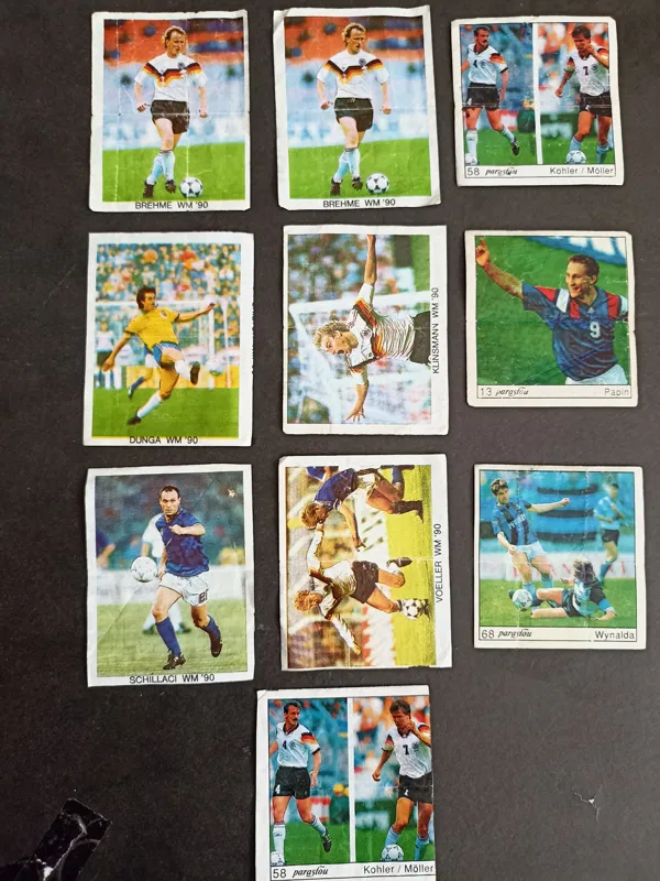 پرستو و دبلیو ام