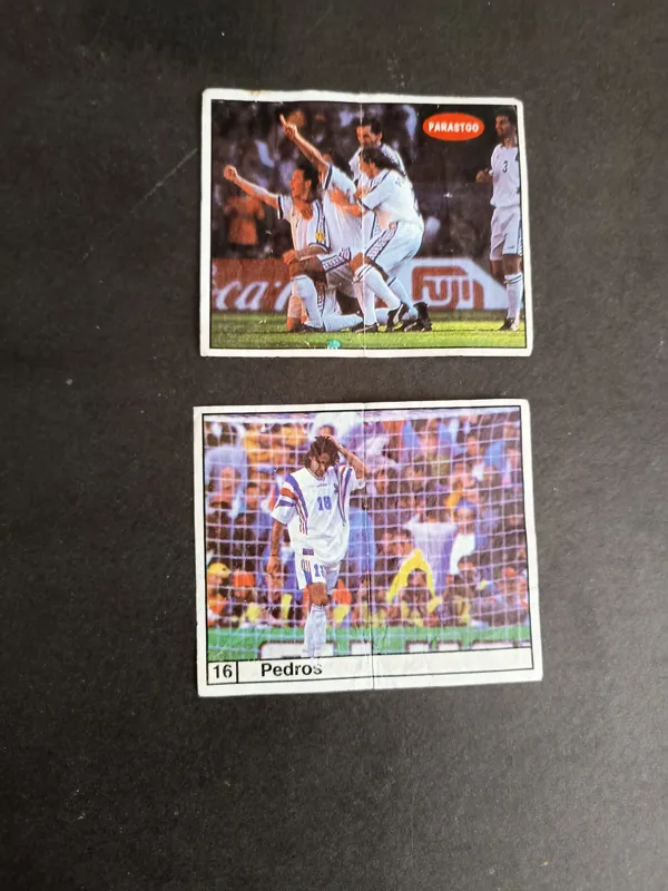 پرستو صورتی.