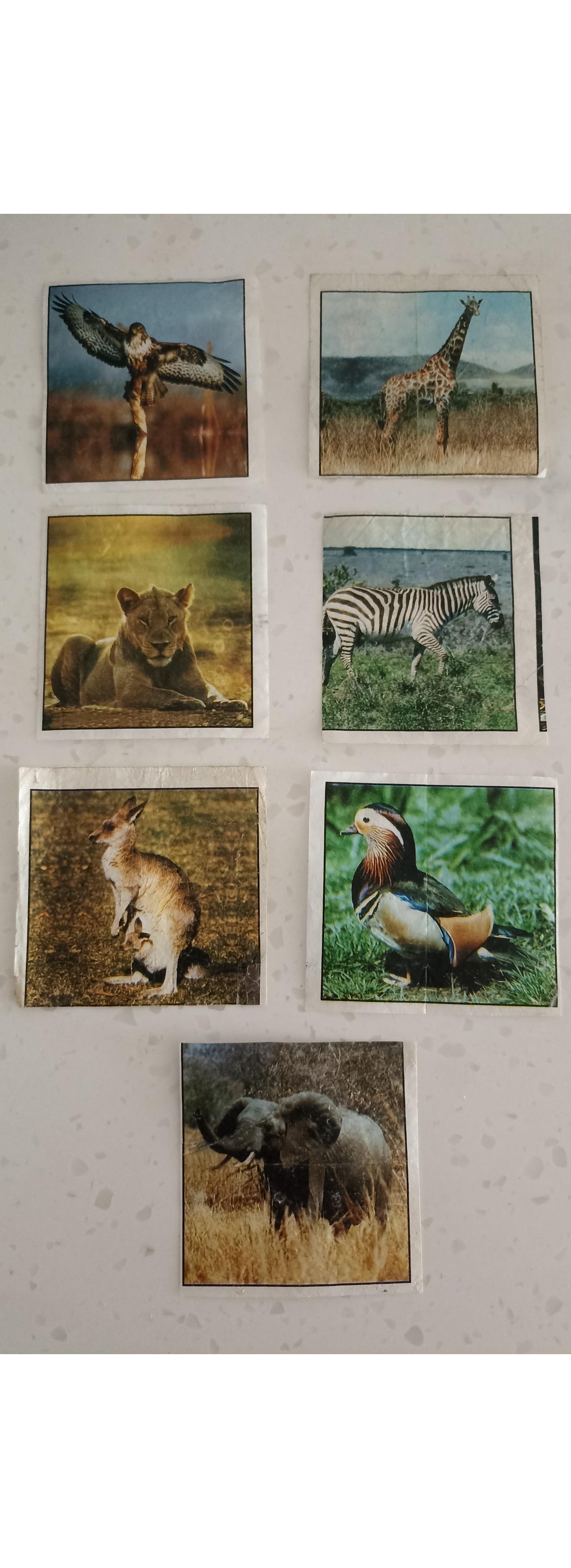 امکان خرید بصورت انتخابی . توضیحات