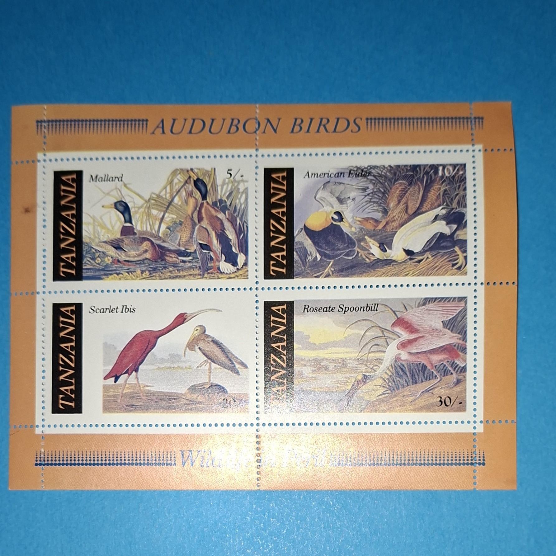 مینی شیت نو اروپائی