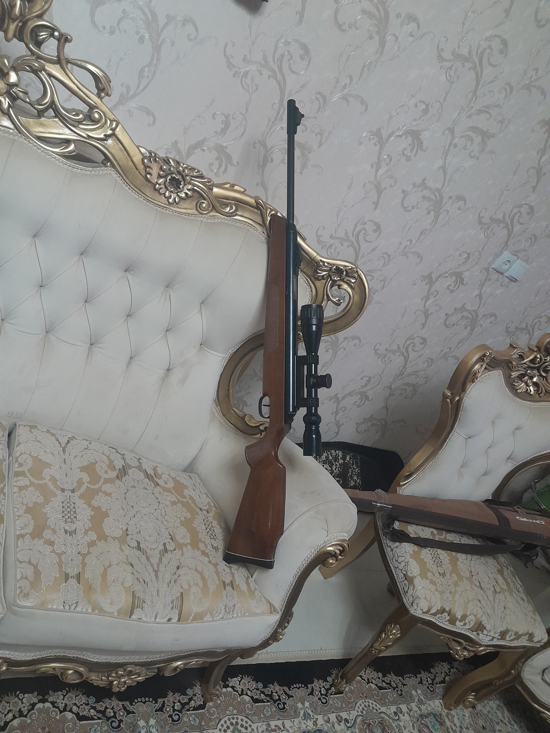 دیانا 54 اصلی