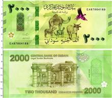 اسکناس