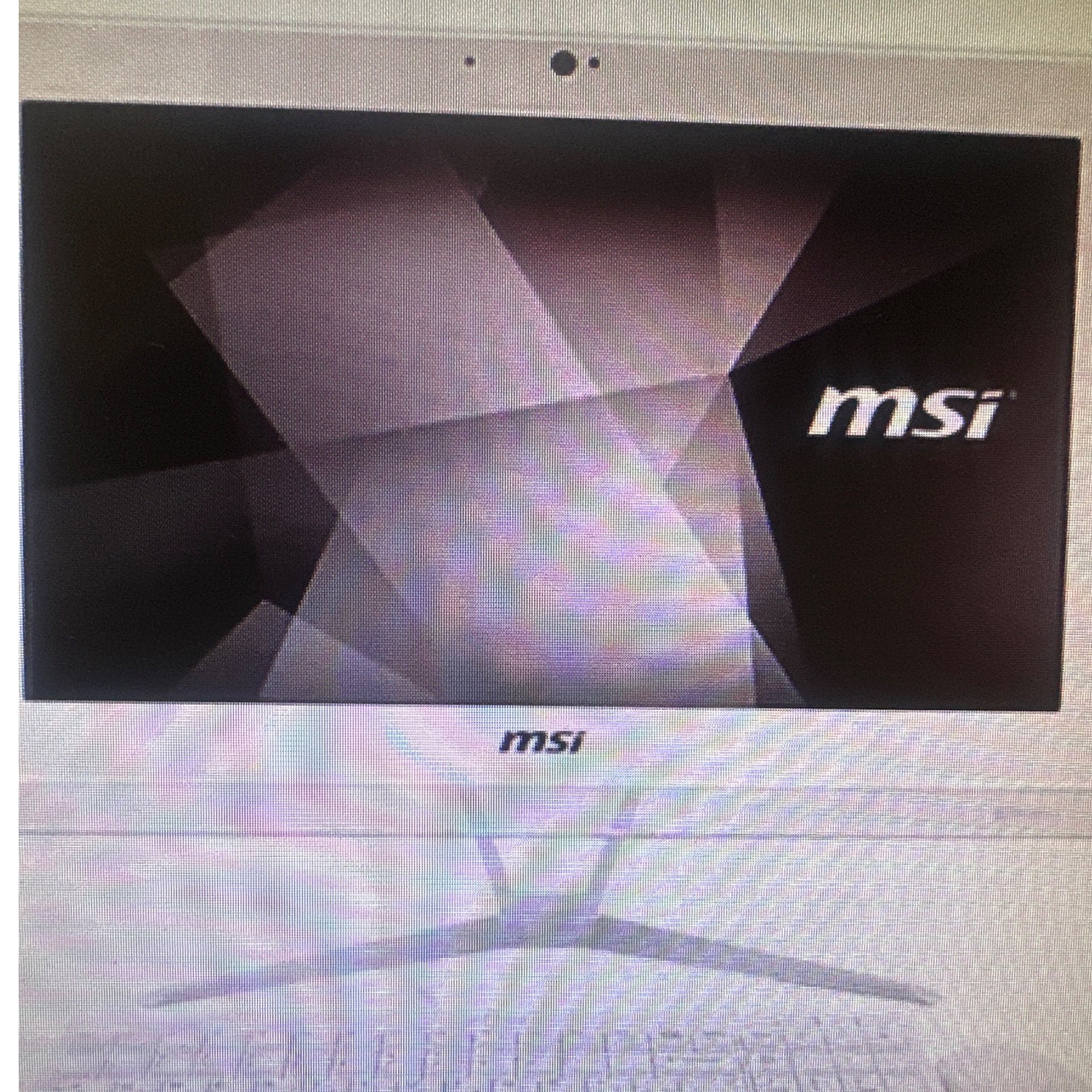 Msi pro20ex 8gl