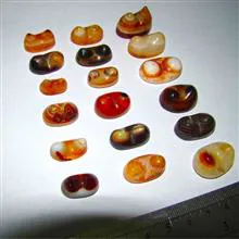 کلکسیون