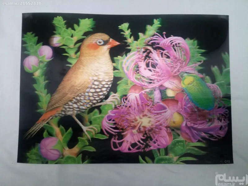 کارت پستال 3بعدی دهه60 ژاپنی 24×34 (سری2)