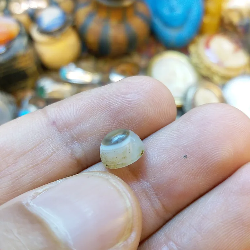 سه پوست باباقوری کهنه